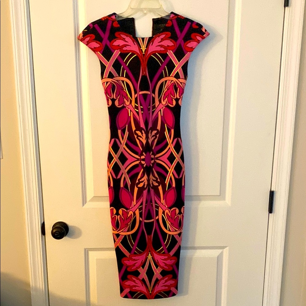 Elegant Ted Baker Multicolor Women's Dress